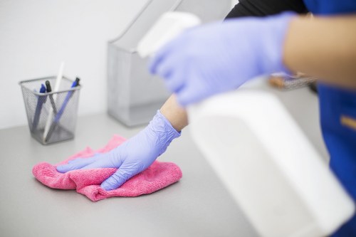 Professional cleaner in Acton providing home cleaning services