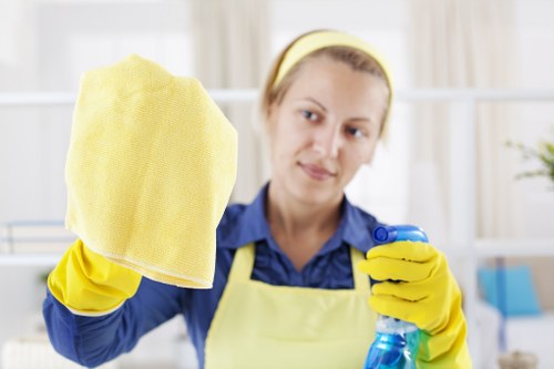 Professional carpet cleaning in an Acton living room