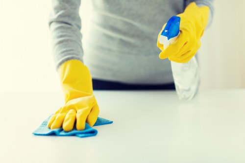 Domestic carpet cleaning in a lived-in room