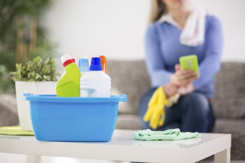 Cleaning appointment confirmation and service details for carpet cleaning