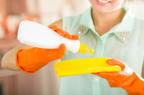 Carpet stain removal and maintenance in an Acton home