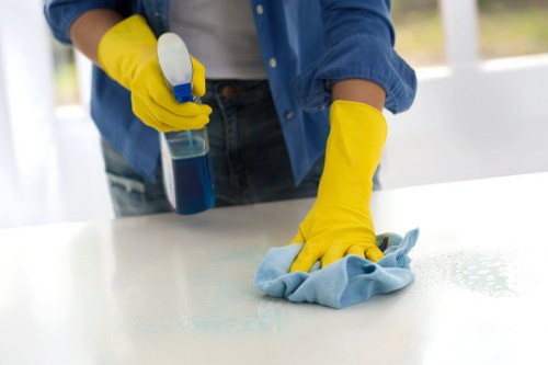 Cleaner handling equipment and chemicals under safe work procedures